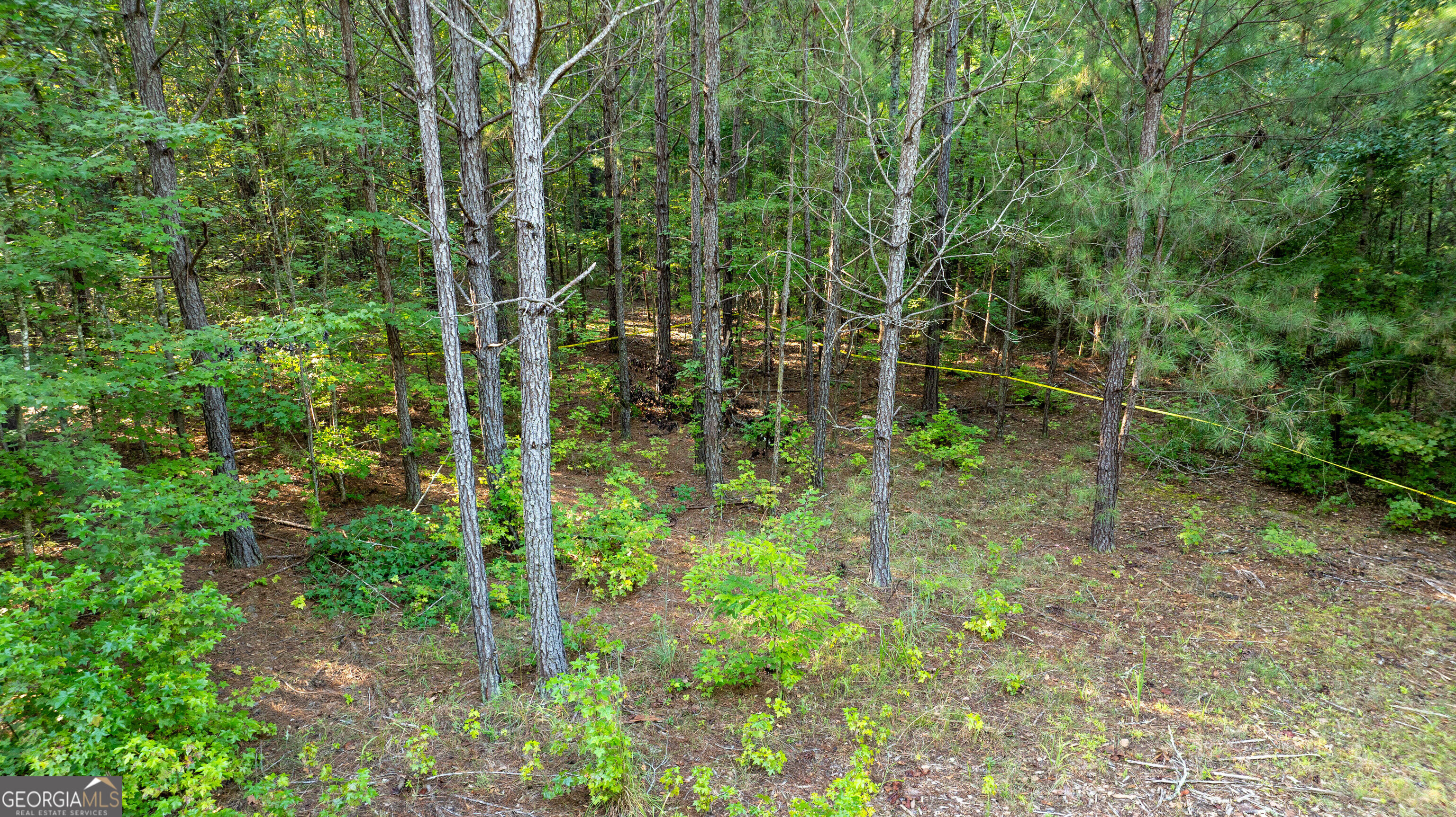0 Allgood Road Property Photo 14