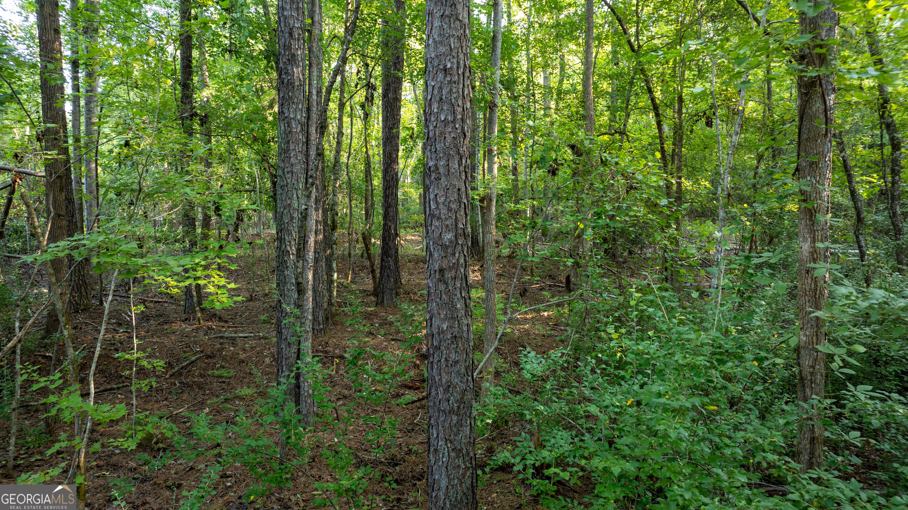 0 Allgood Road Property Photo 15