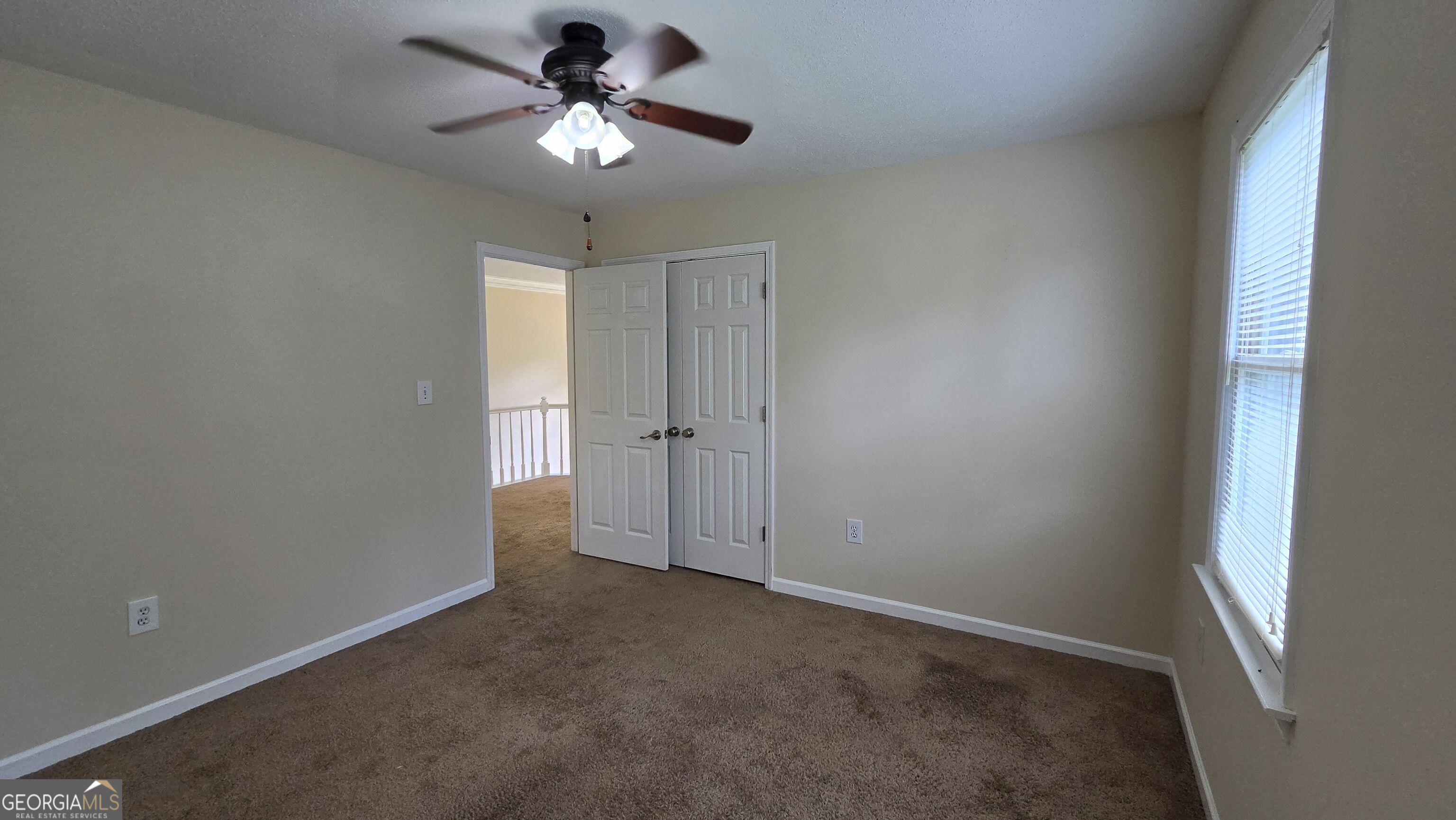 31 Springfield Court Property Photo 45
