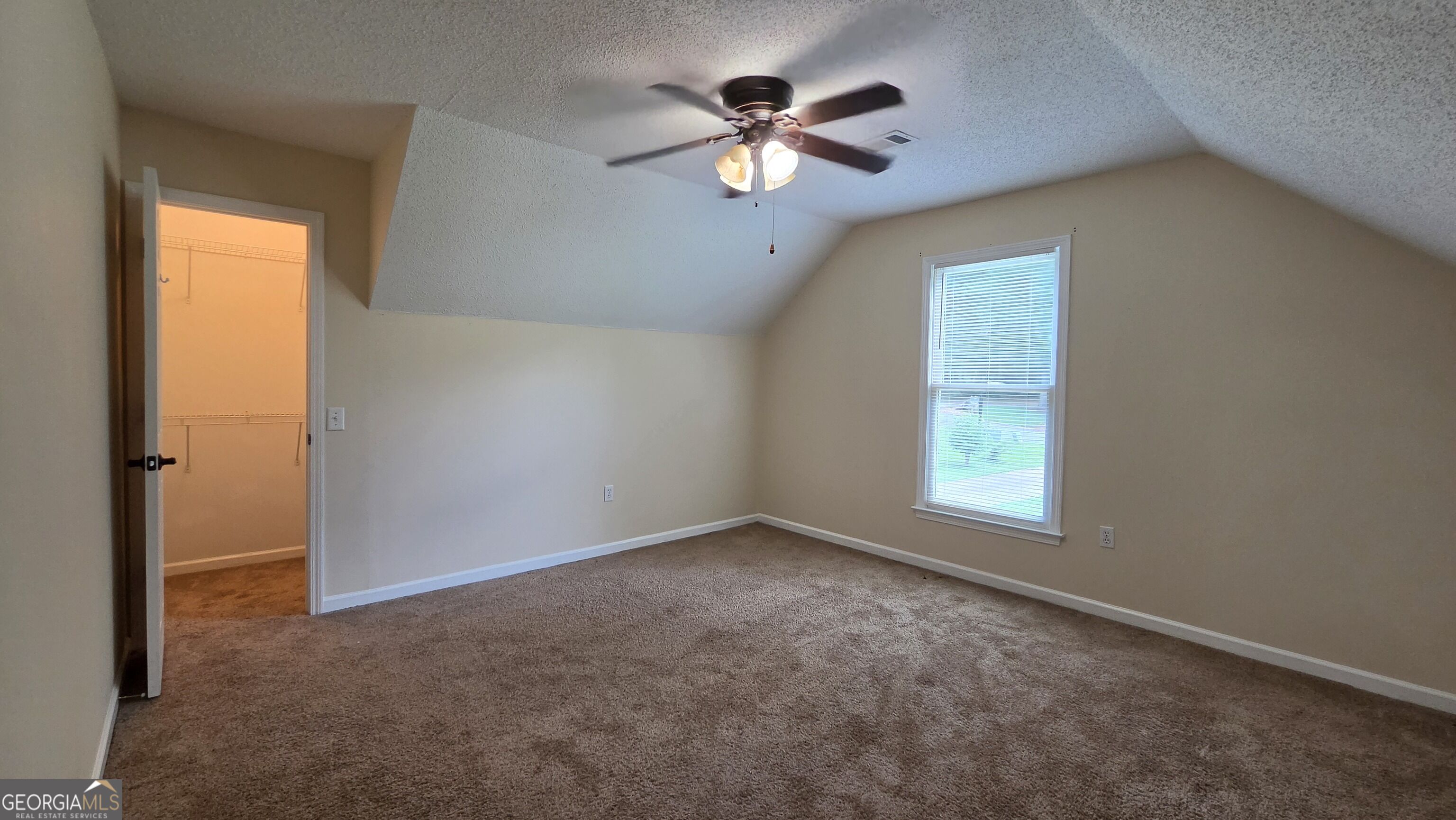 31 Springfield Court Property Photo 47