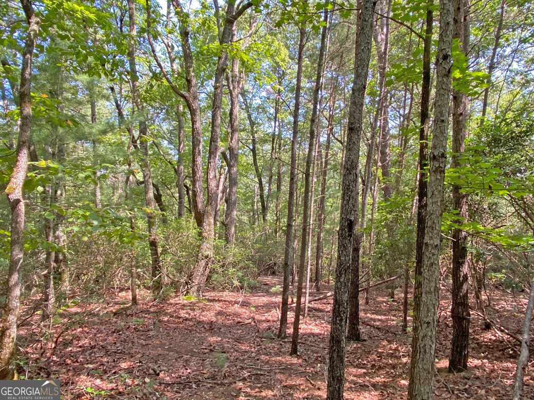 10.59ac T S Jarrard Road Property Photo 1