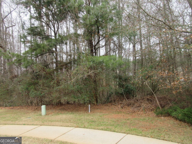 710 Donner Court Property Photo 1