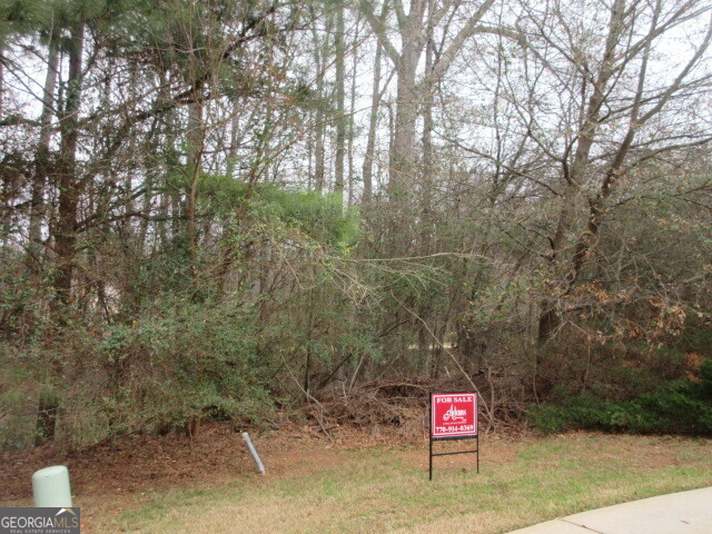 710 Donner Court Property Photo 5