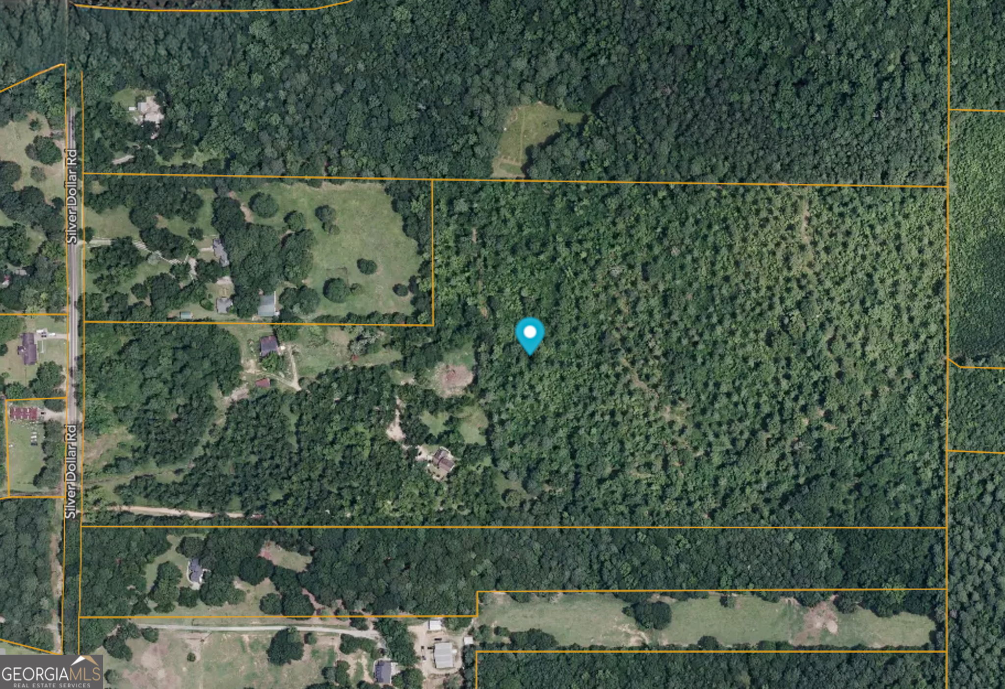 169 Silver Dollar Road Property Photo 5