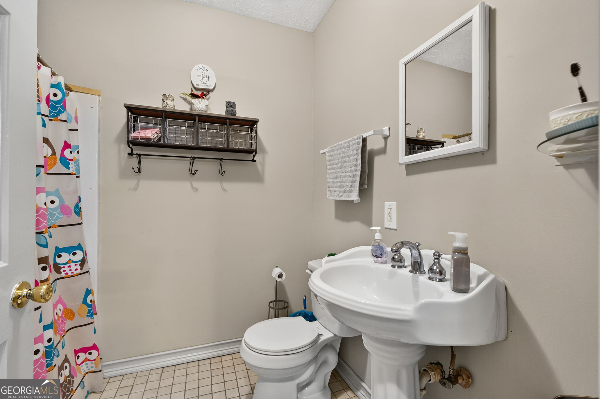169 Silver Dollar Road Property Photo 22