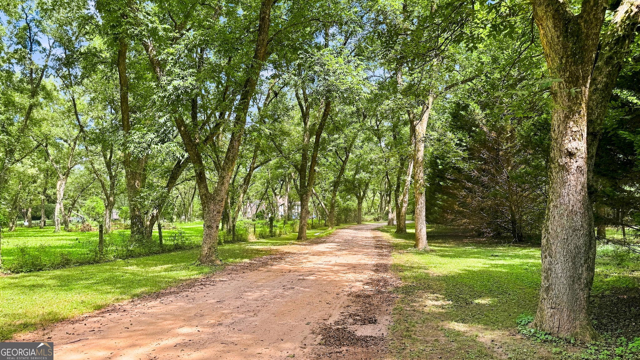 169 Silver Dollar Road Property Photo 48