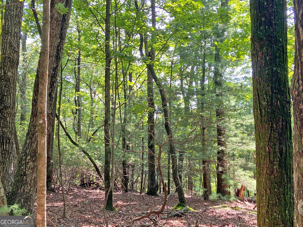 11ac T S Jarrard Road Property Photo 1