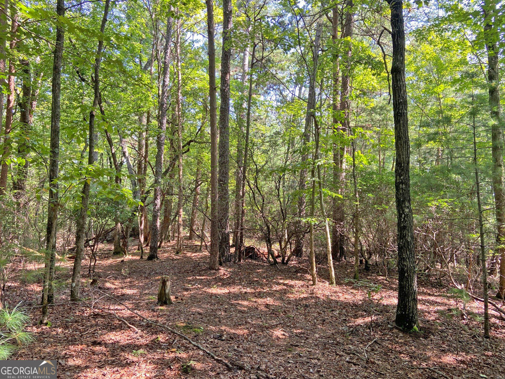 11ac T S Jarrard Road Property Photo 3
