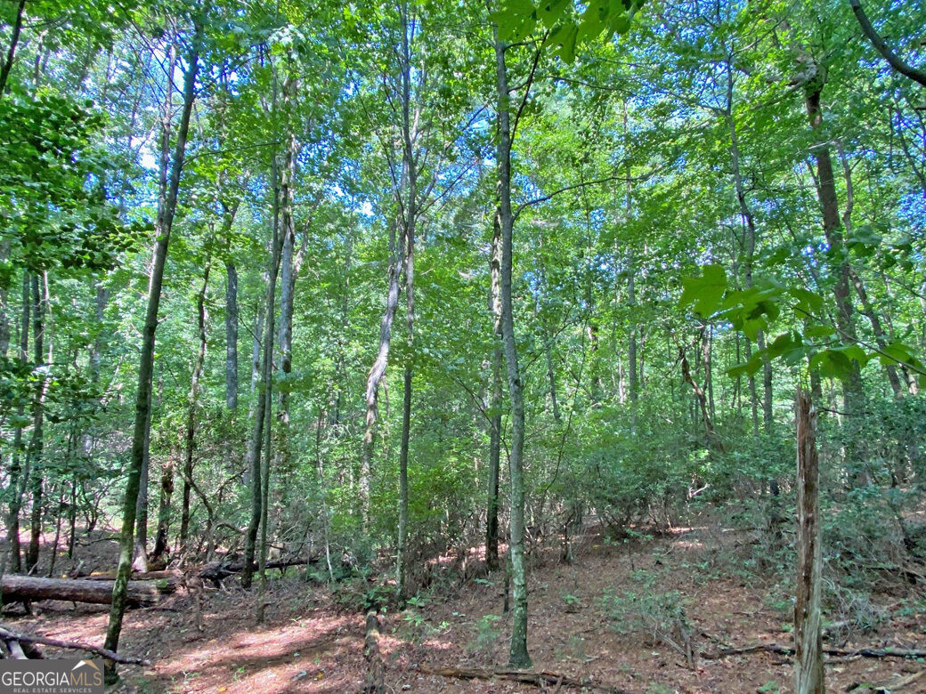 11ac T S Jarrard Road Property Photo 6