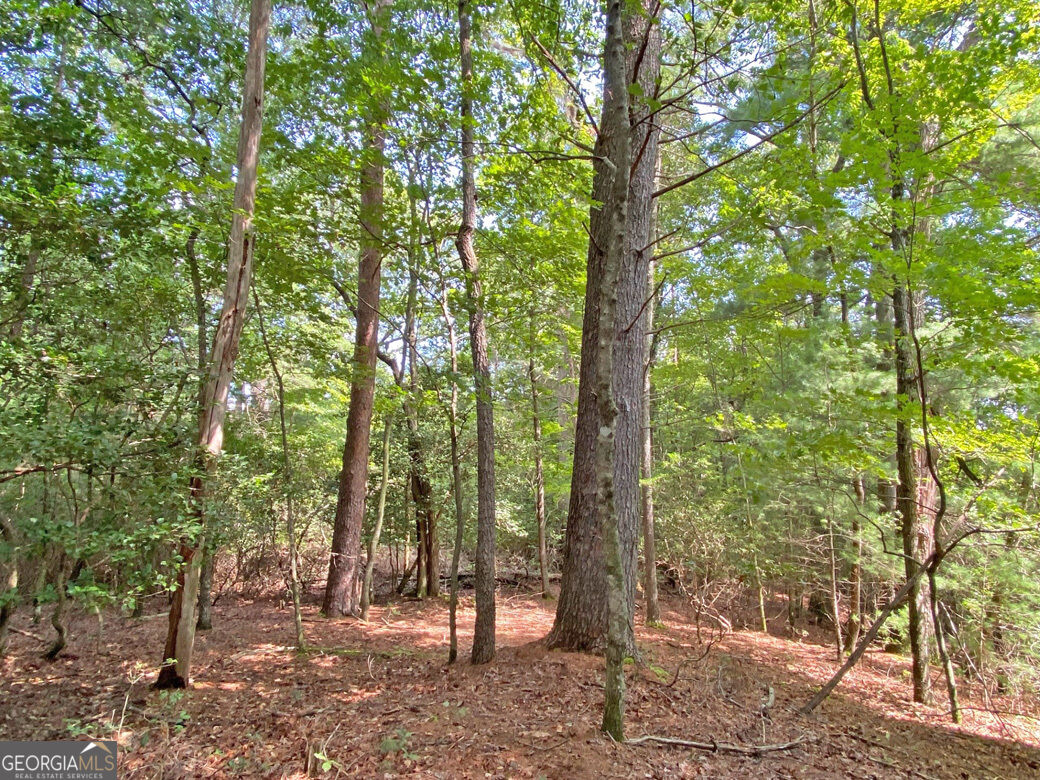 11ac T S Jarrard Road Property Photo 8