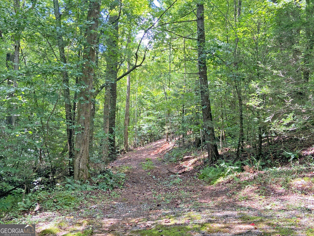 11ac T S Jarrard Road Property Photo 11