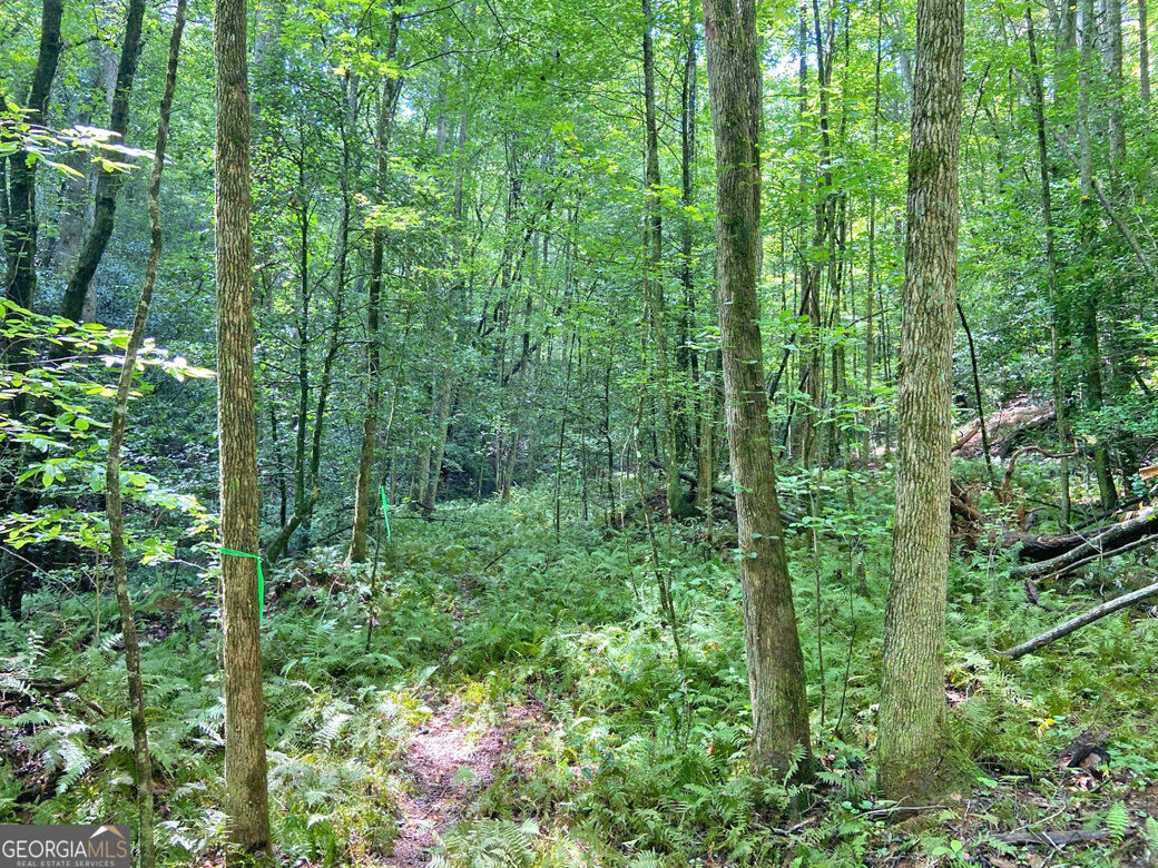 11ac T S Jarrard Road Property Photo 12