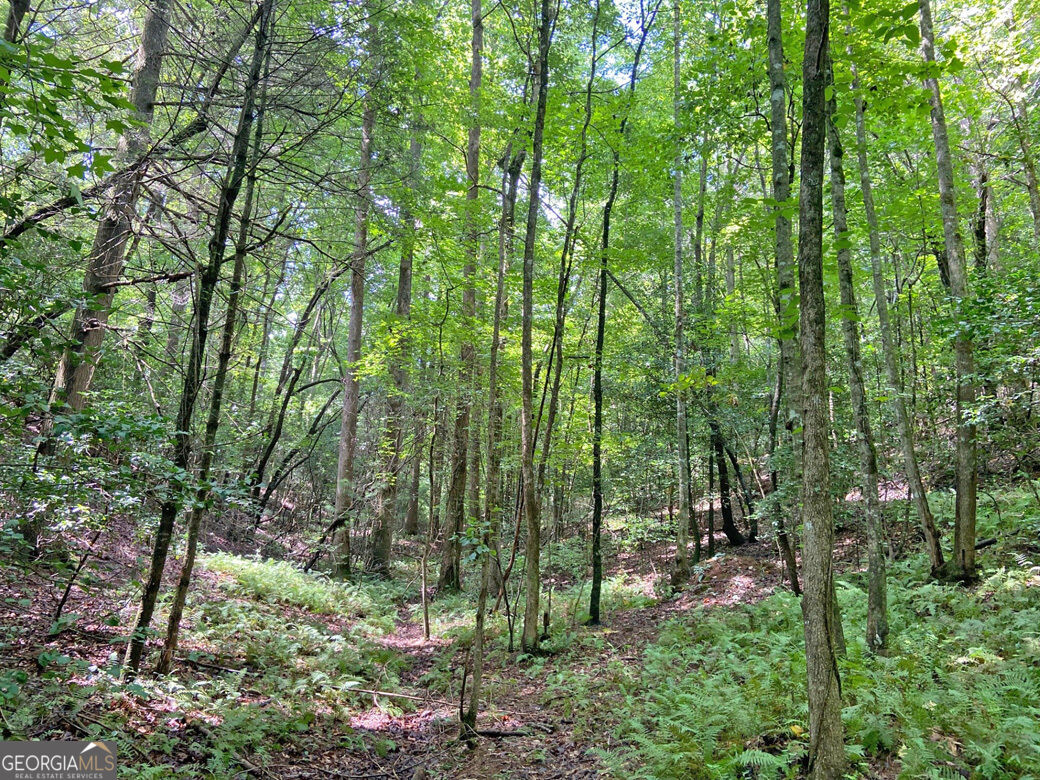 11ac T S Jarrard Road Property Photo 13