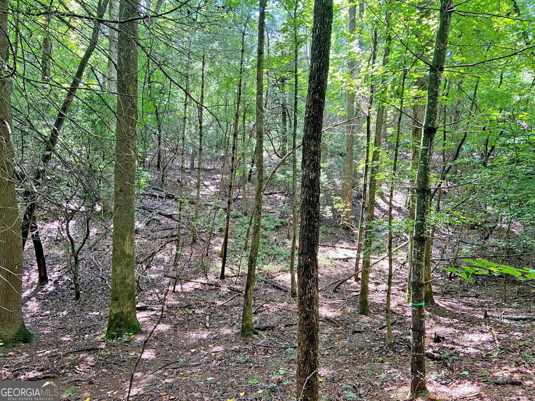 11ac T S Jarrard Road Property Photo 14