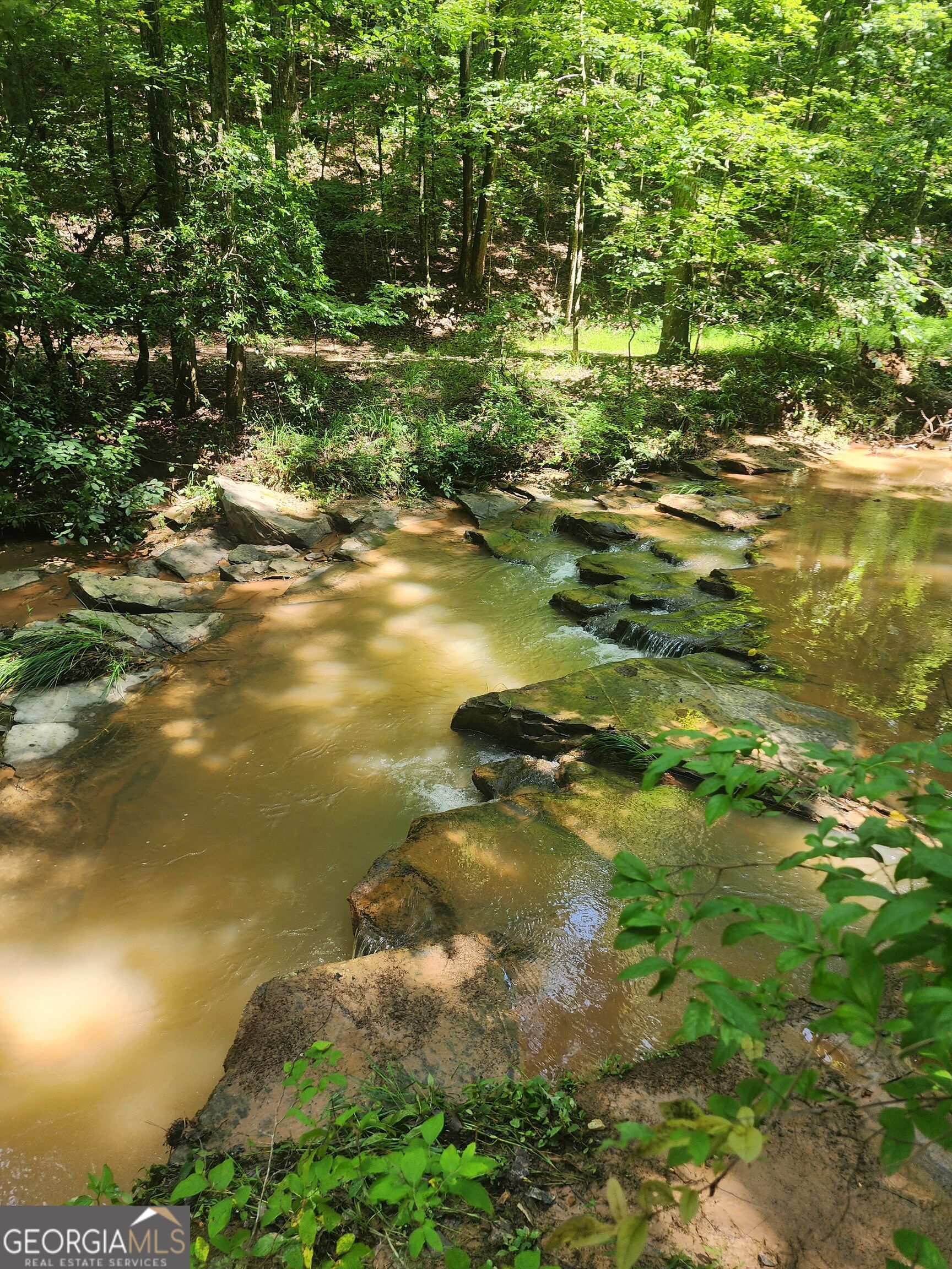 Lot 159r Harris Creek Drive Property Photo 2