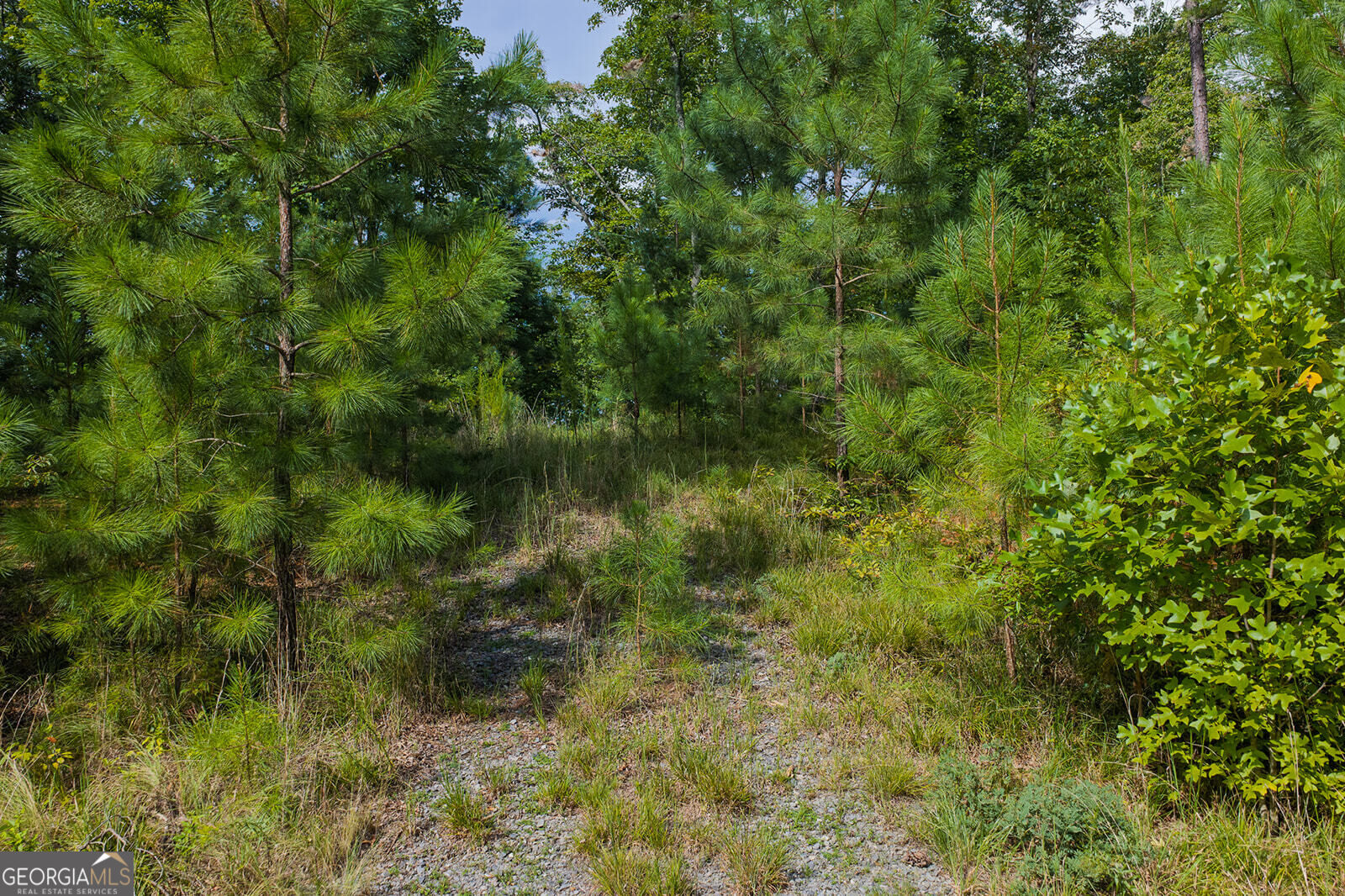 Lot 159r Harris Creek Drive Property Photo 3