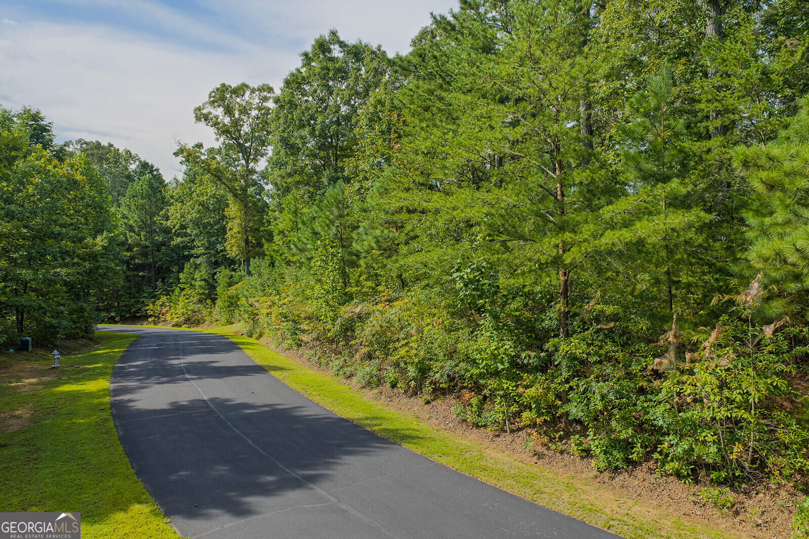 Lot 159r Harris Creek Drive Property Photo 5