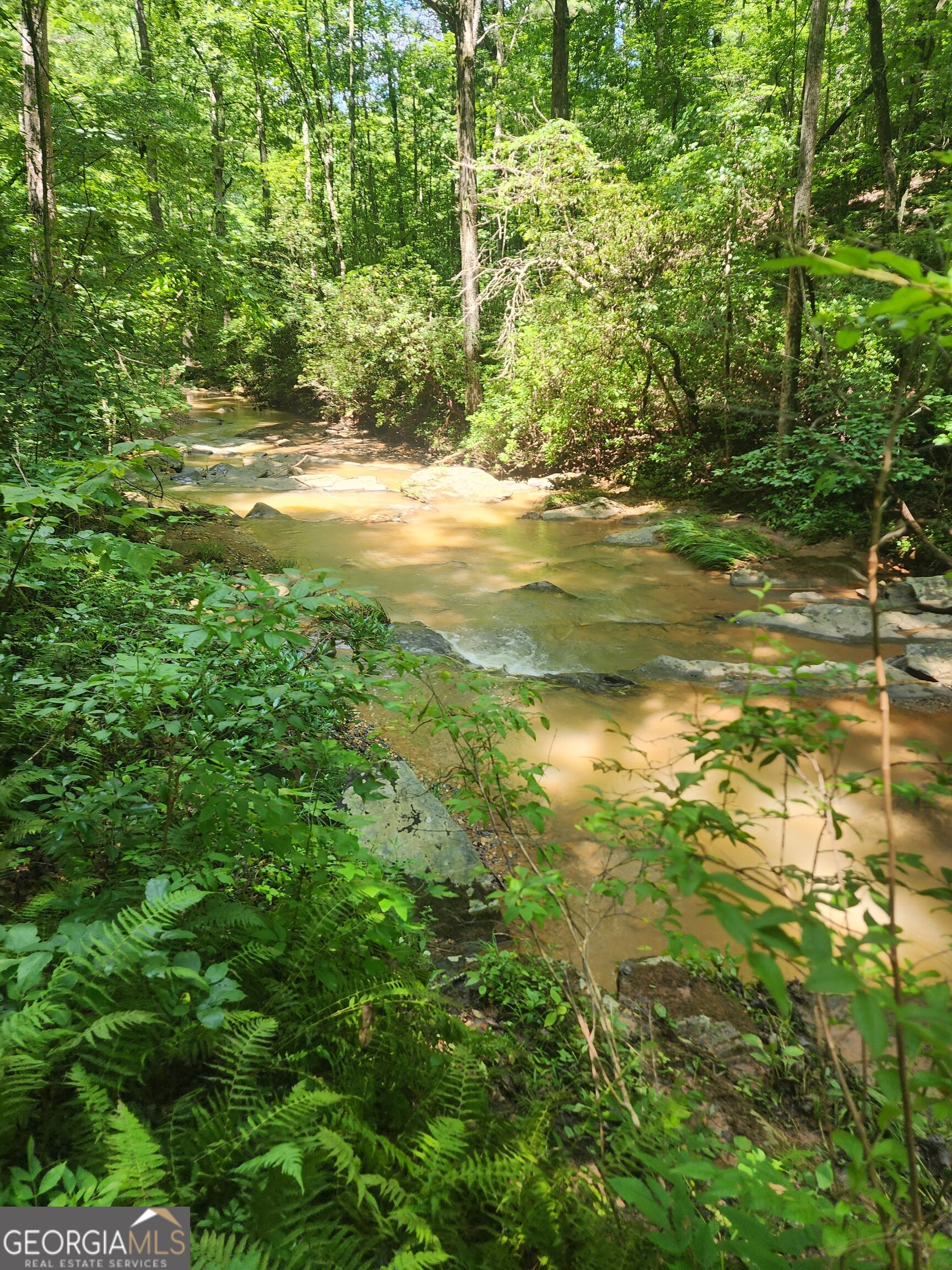 Lot 159r Harris Creek Drive Property Photo 6