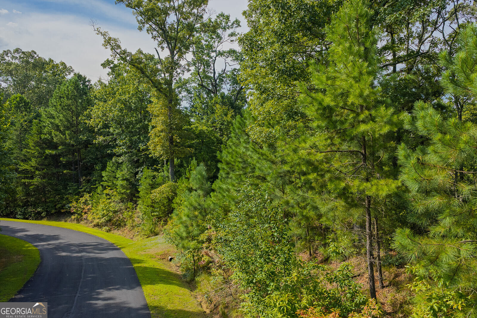 Lot 159r Harris Creek Drive Property Photo 7