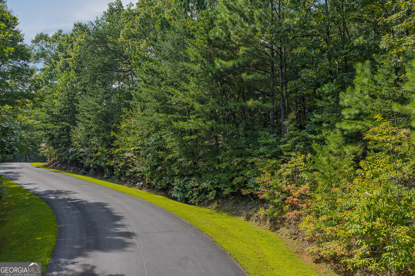 Lot 159r Harris Creek Drive Property Photo 8