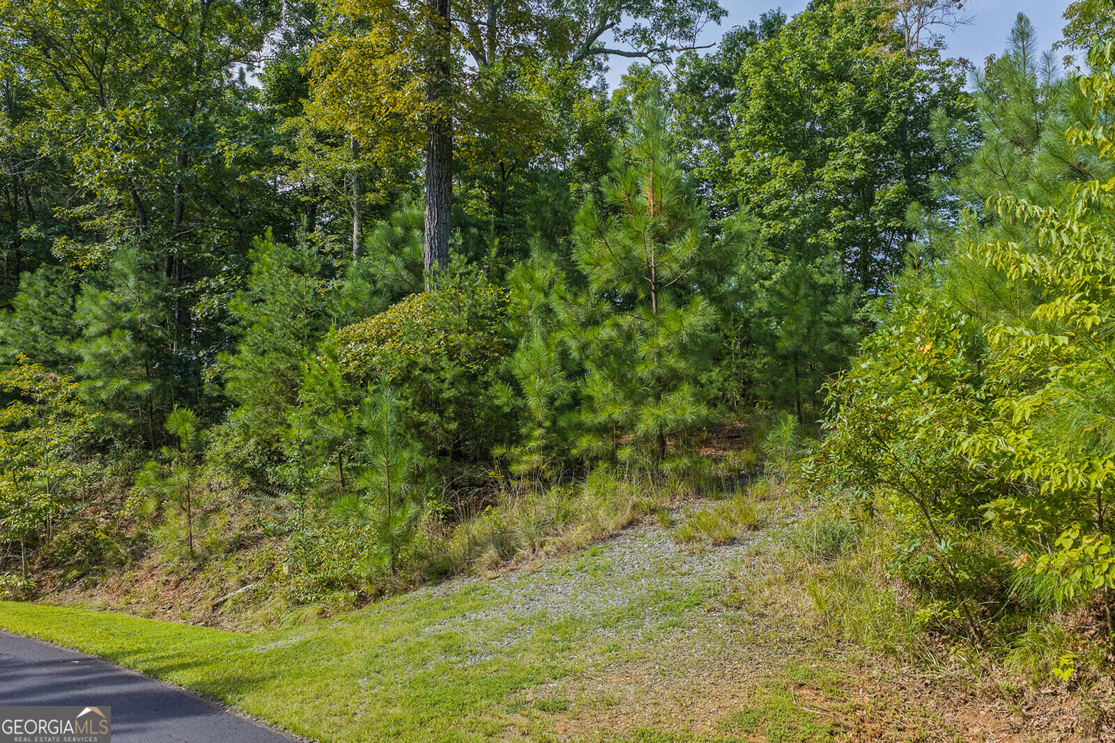 Lot 159r Harris Creek Drive Property Photo 9