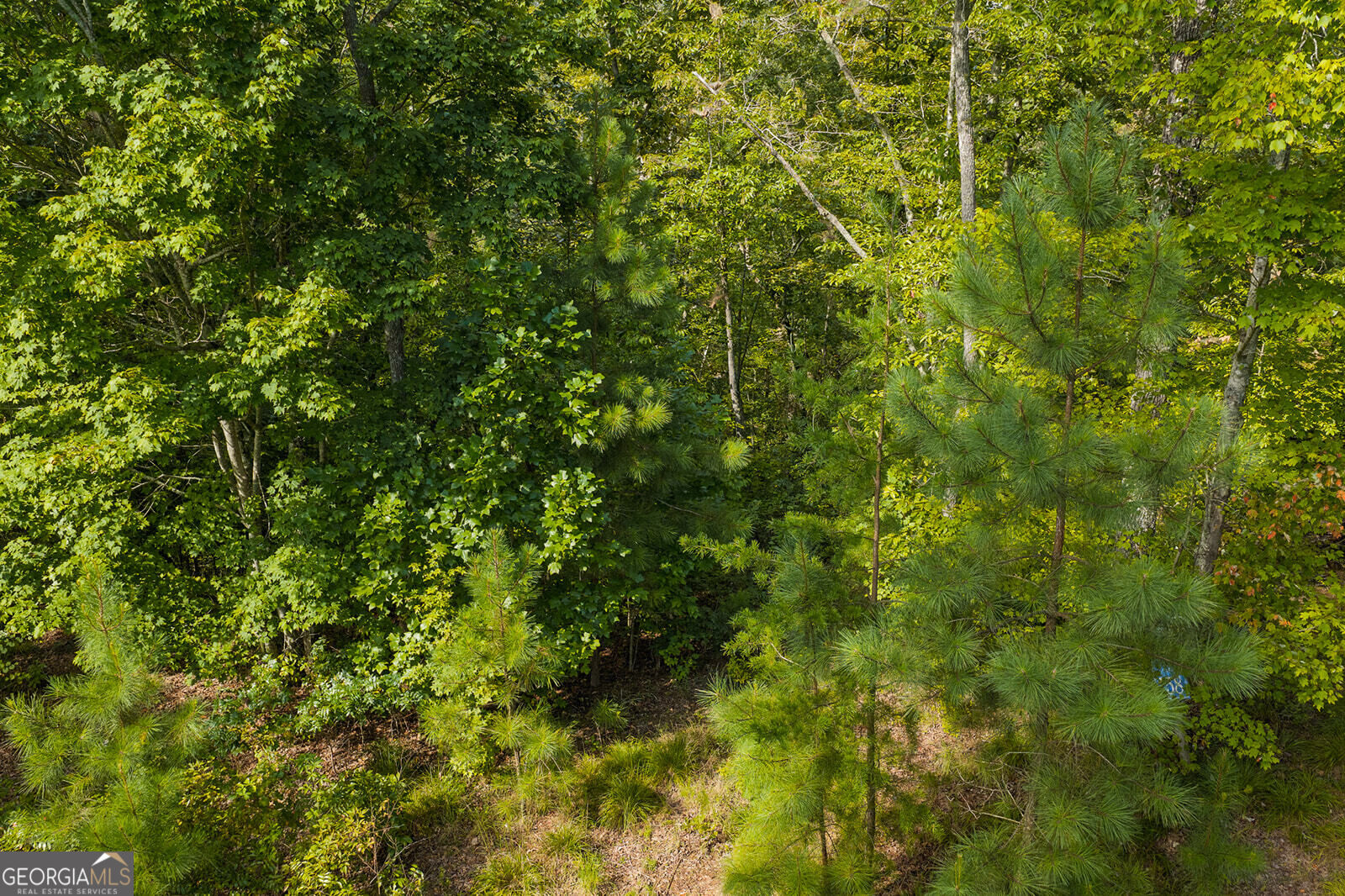 Lot 159r Harris Creek Drive Property Photo 10