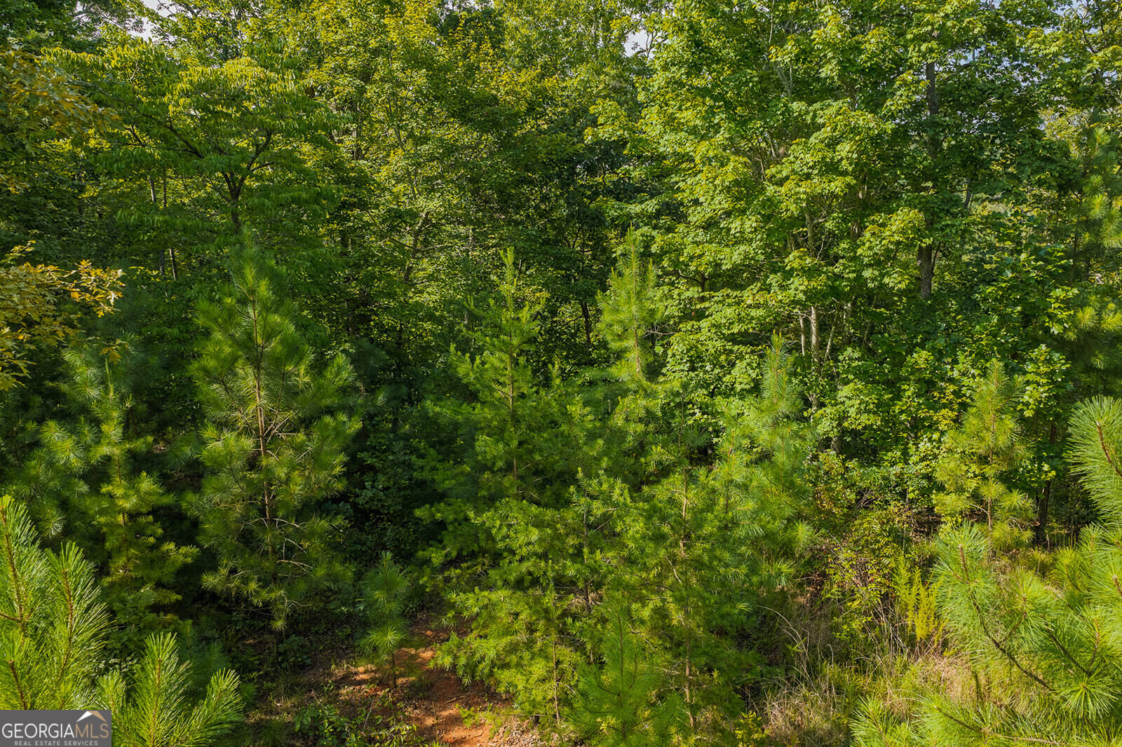 Lot 159r Harris Creek Drive Property Photo 18