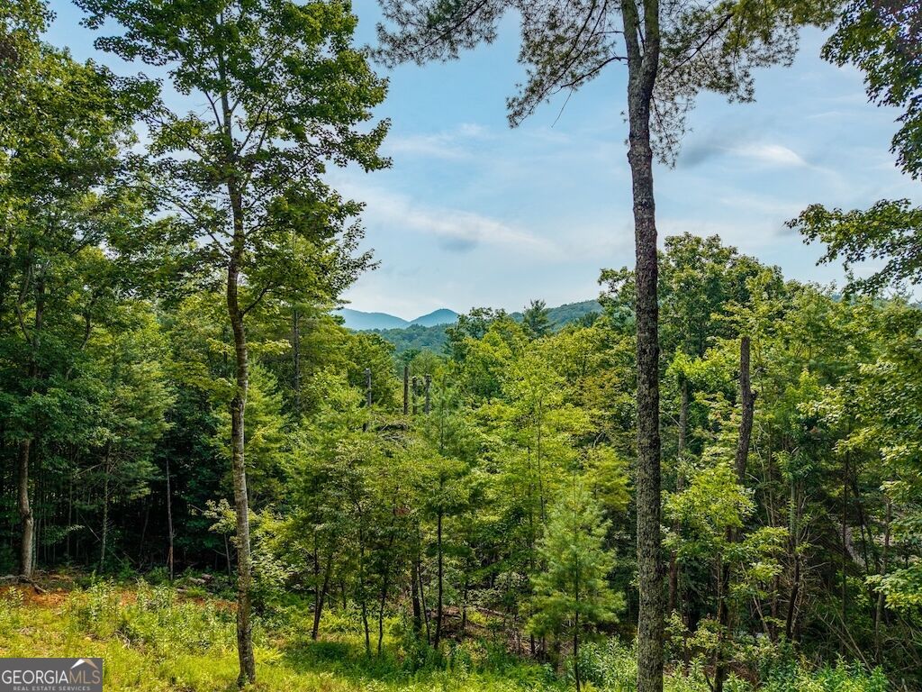120 Bell Camp Ridge Road Property Photo 3