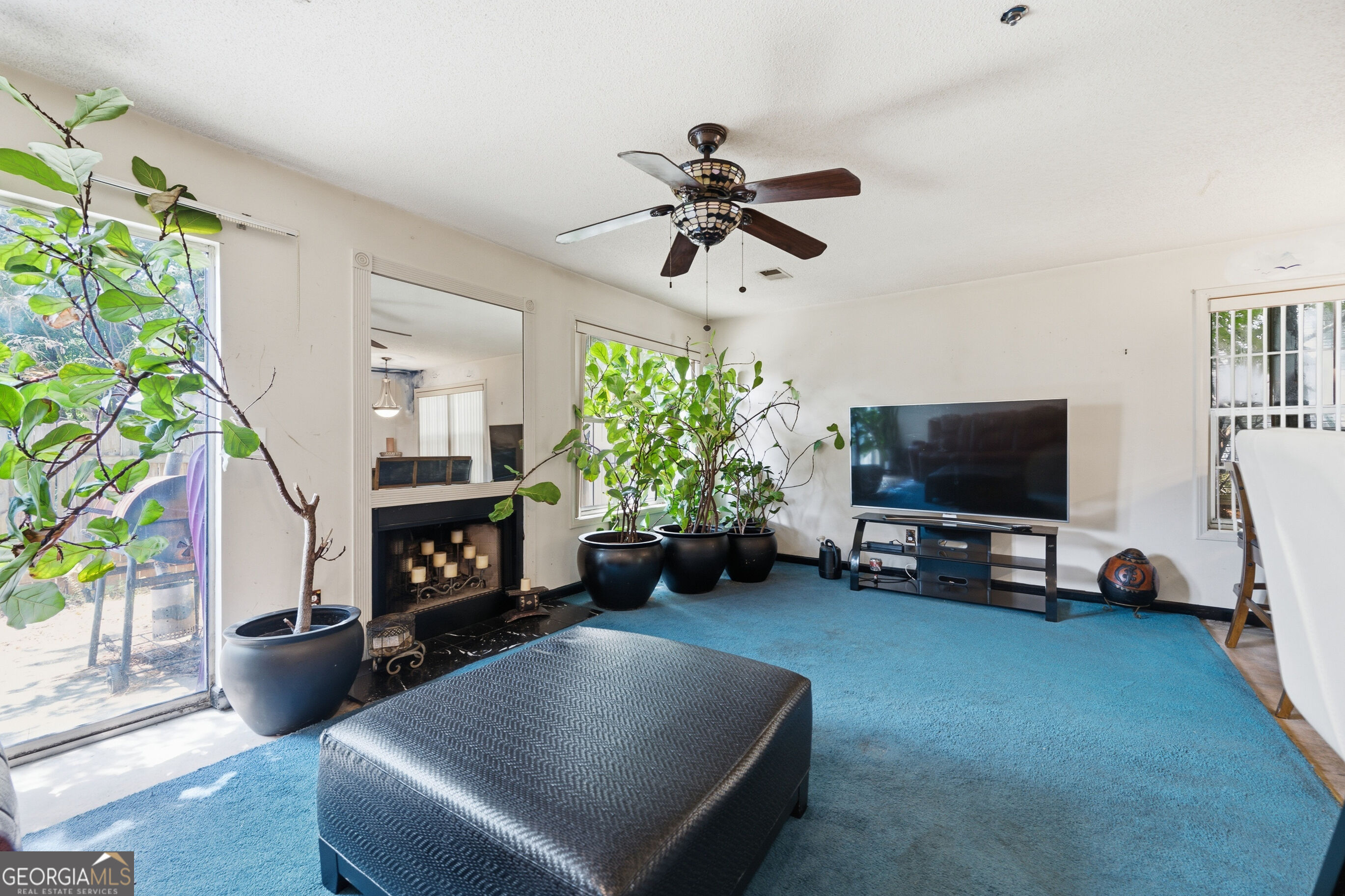 3641 Diamond Circle Property Photo 4