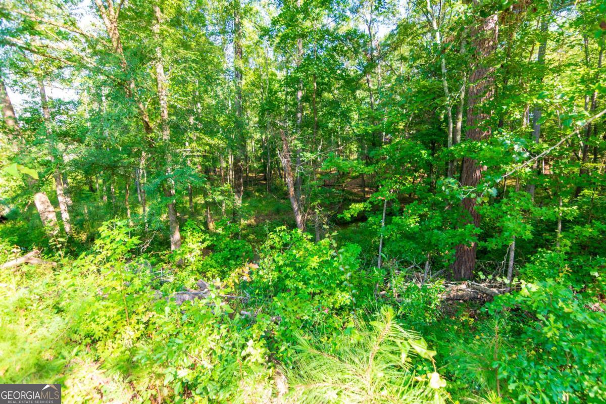 253 Price Road Property Photo 75