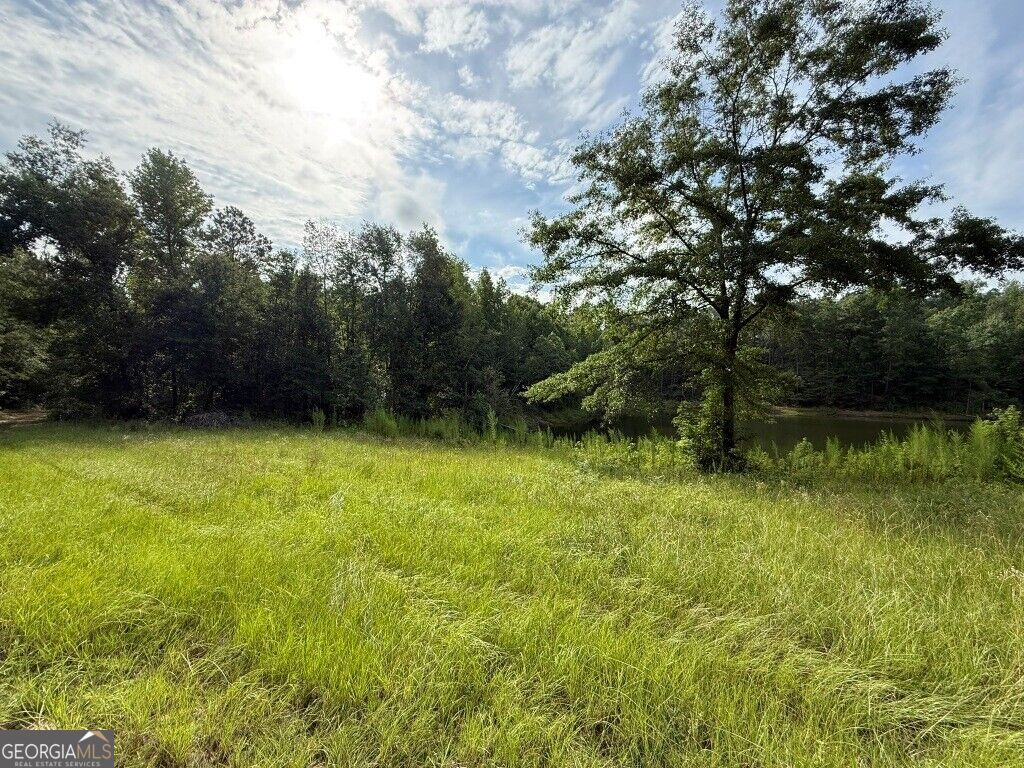 1940 Liberty Church Road Property Photo 1