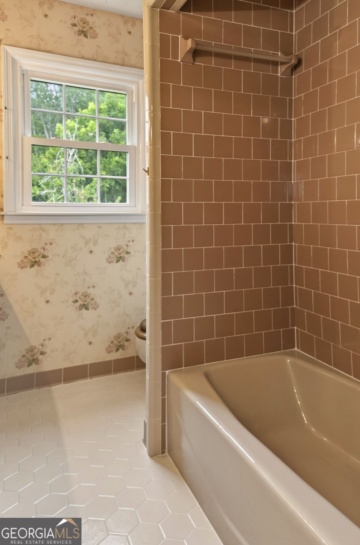 5281 Us Highway 221 Property Photo 66