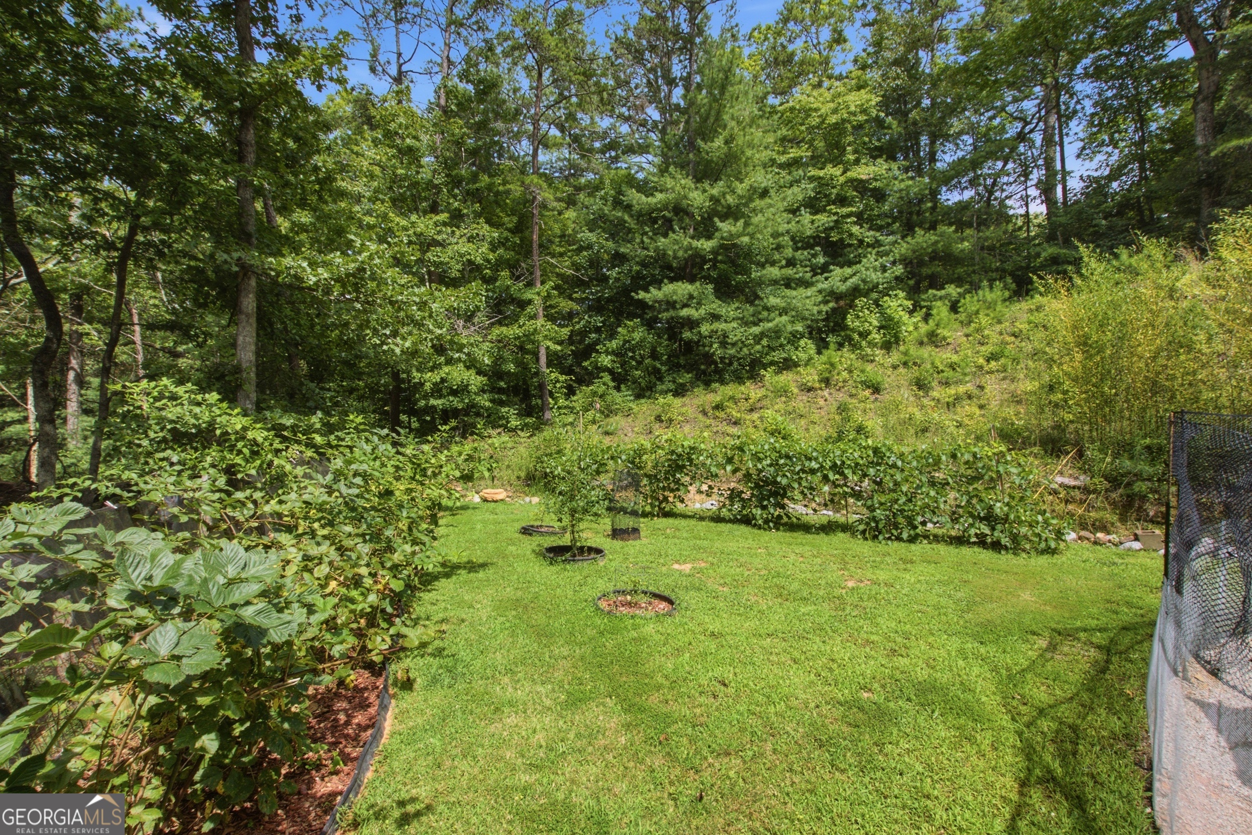 346 Watkins Field Road Property Photo 3