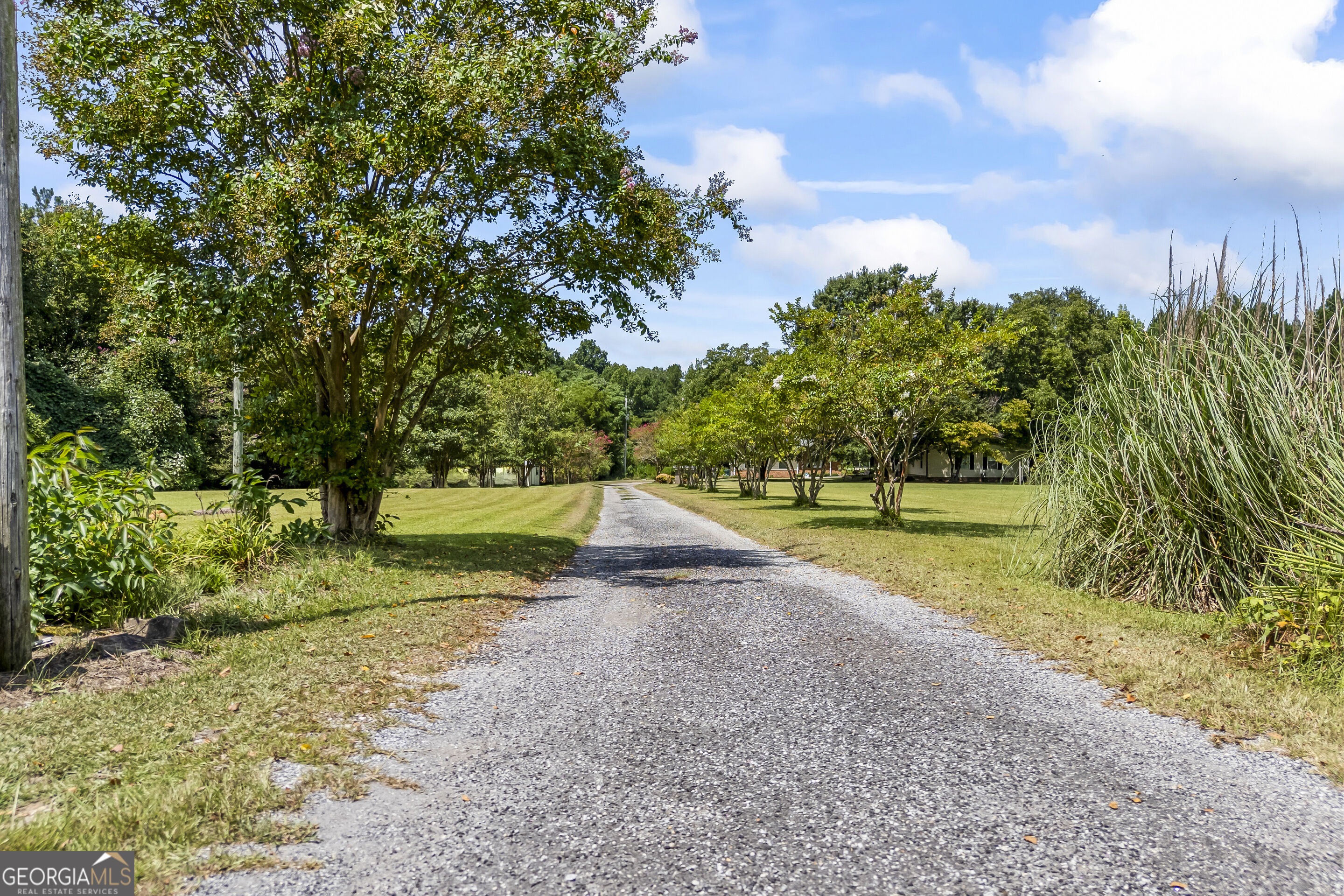1351 Clack Road Property Photo 9