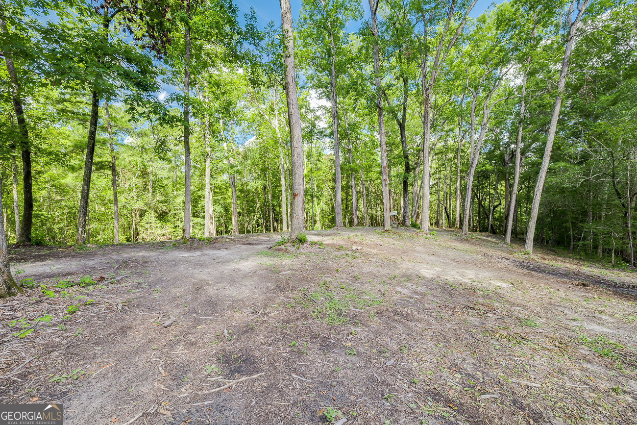 131 High Bluff Road Property Photo 60