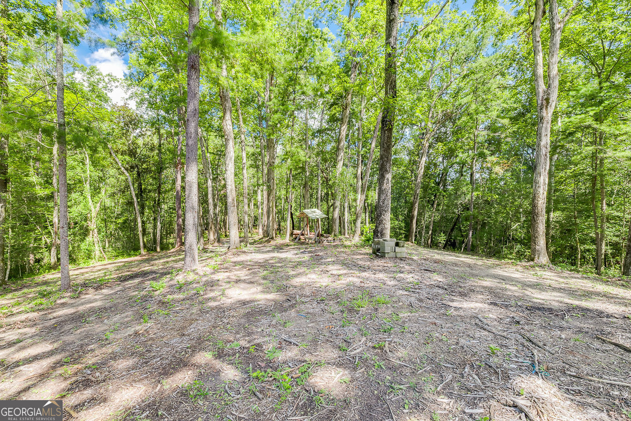 131 High Bluff Road Property Photo 61