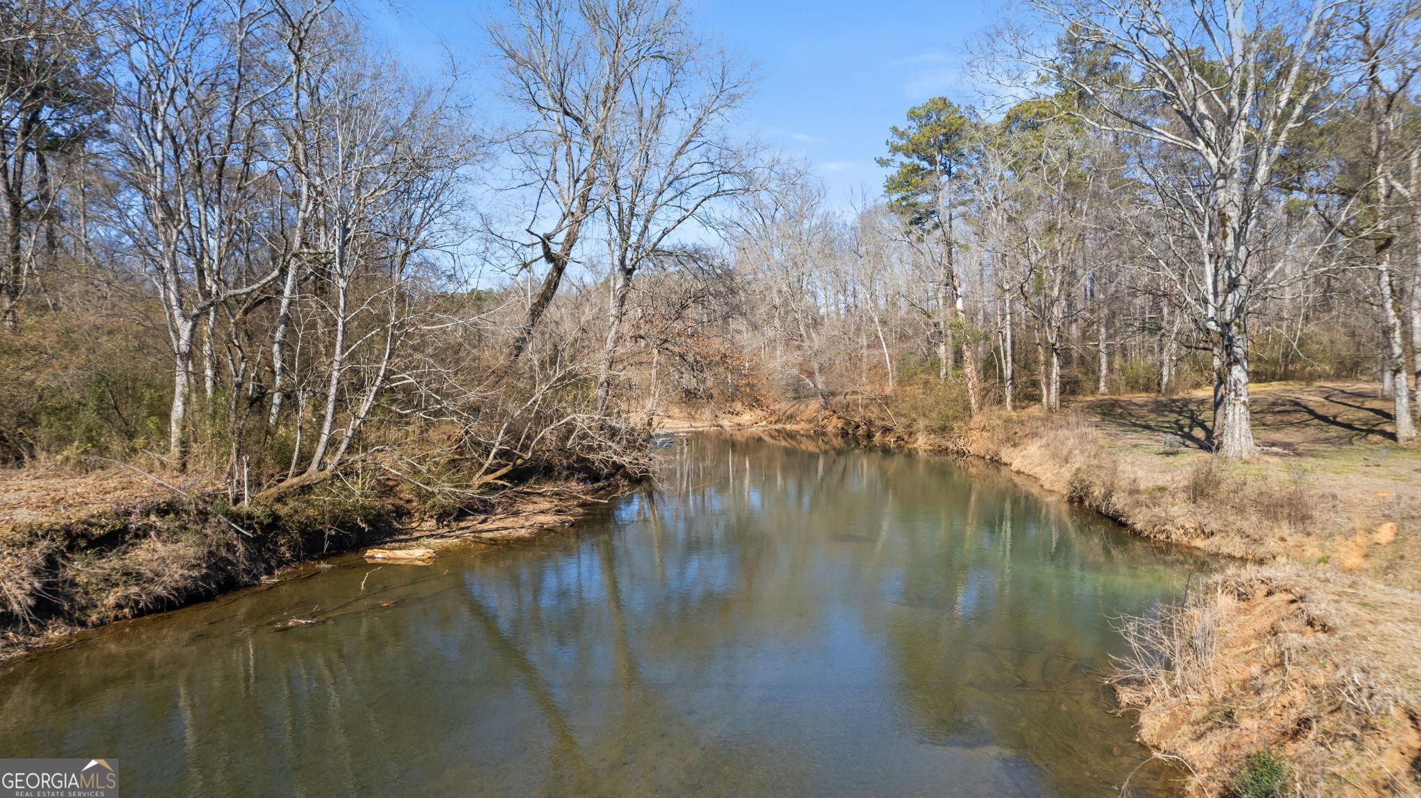 0 Blacks Bluff Road Property Photo 2