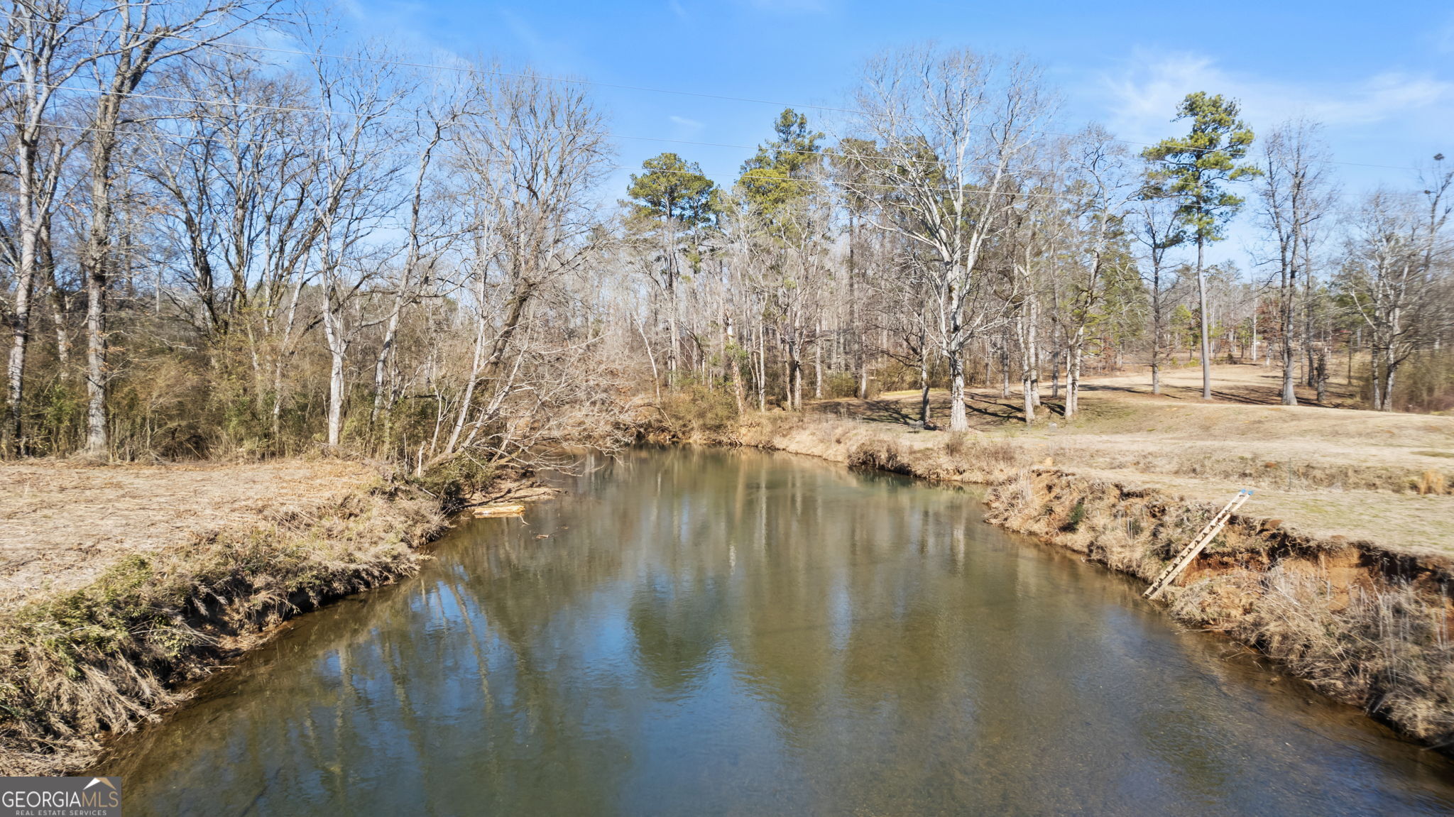 0 Blacks Bluff Road Property Photo 14