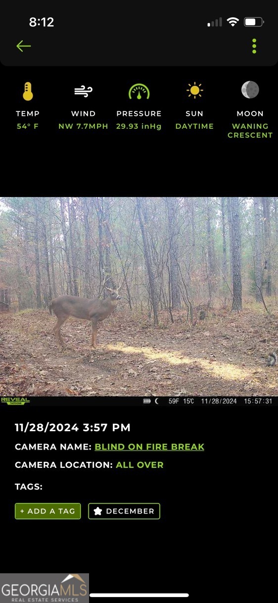 0 Blacks Bluff Road Property Photo 16