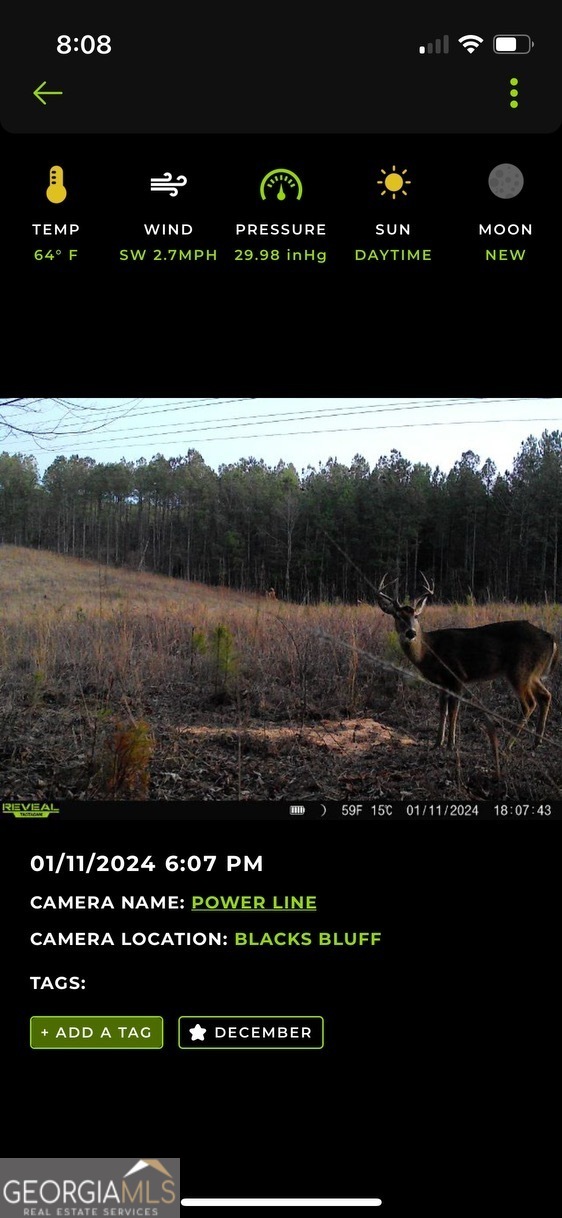 0 Blacks Bluff Road Property Photo 17