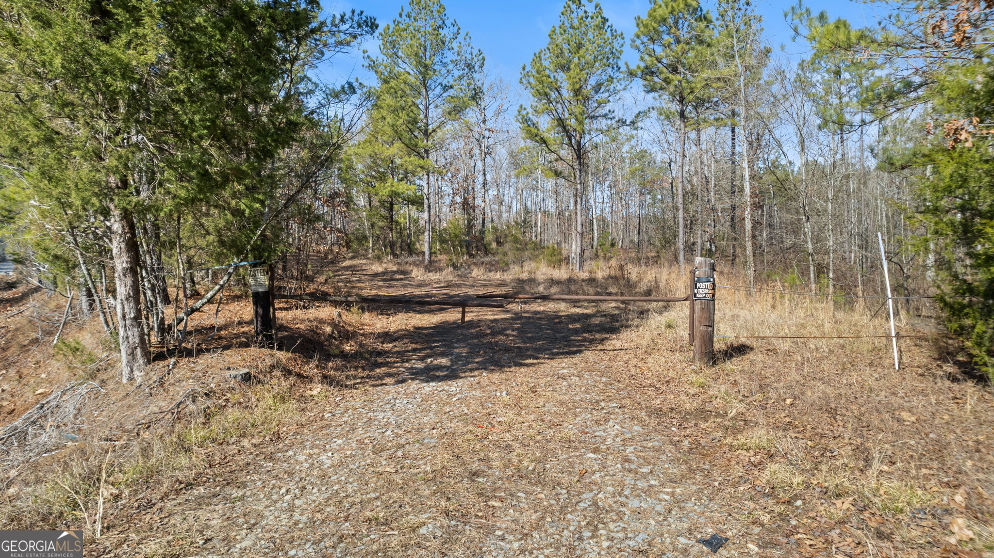 0 Blacks Bluff Road Property Photo 18