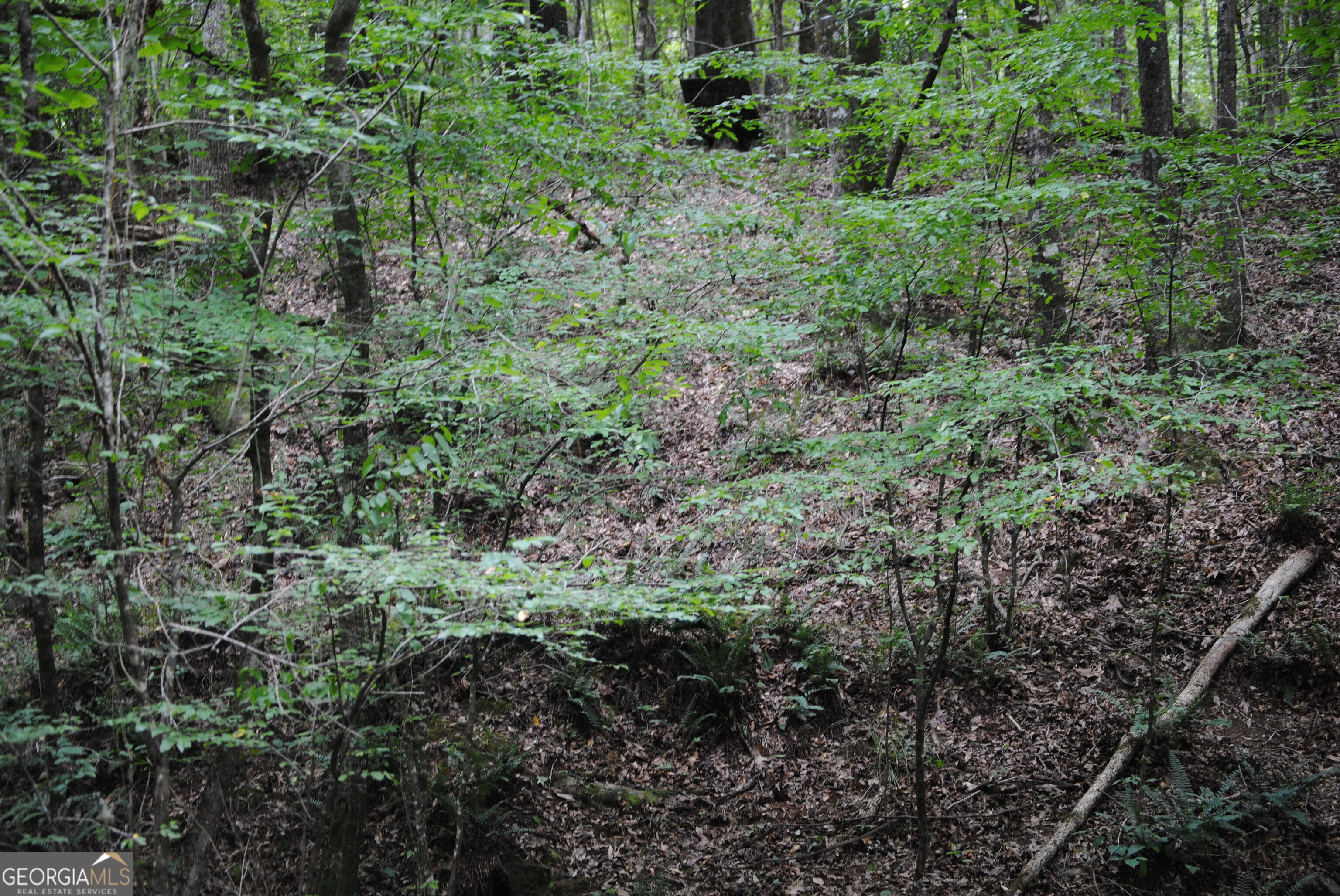 4509 Sr 18 Highway Property Photo 5