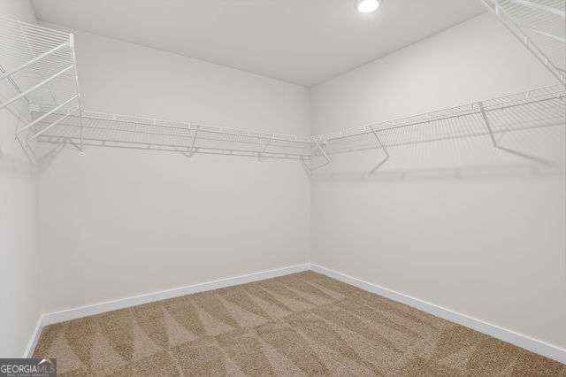 20 Glengarry Ct Lot 251 Property Photo 35