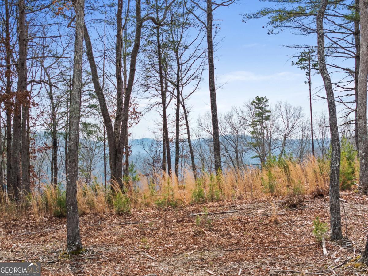 LOT 162 Ridge Drive Property Photo 1
