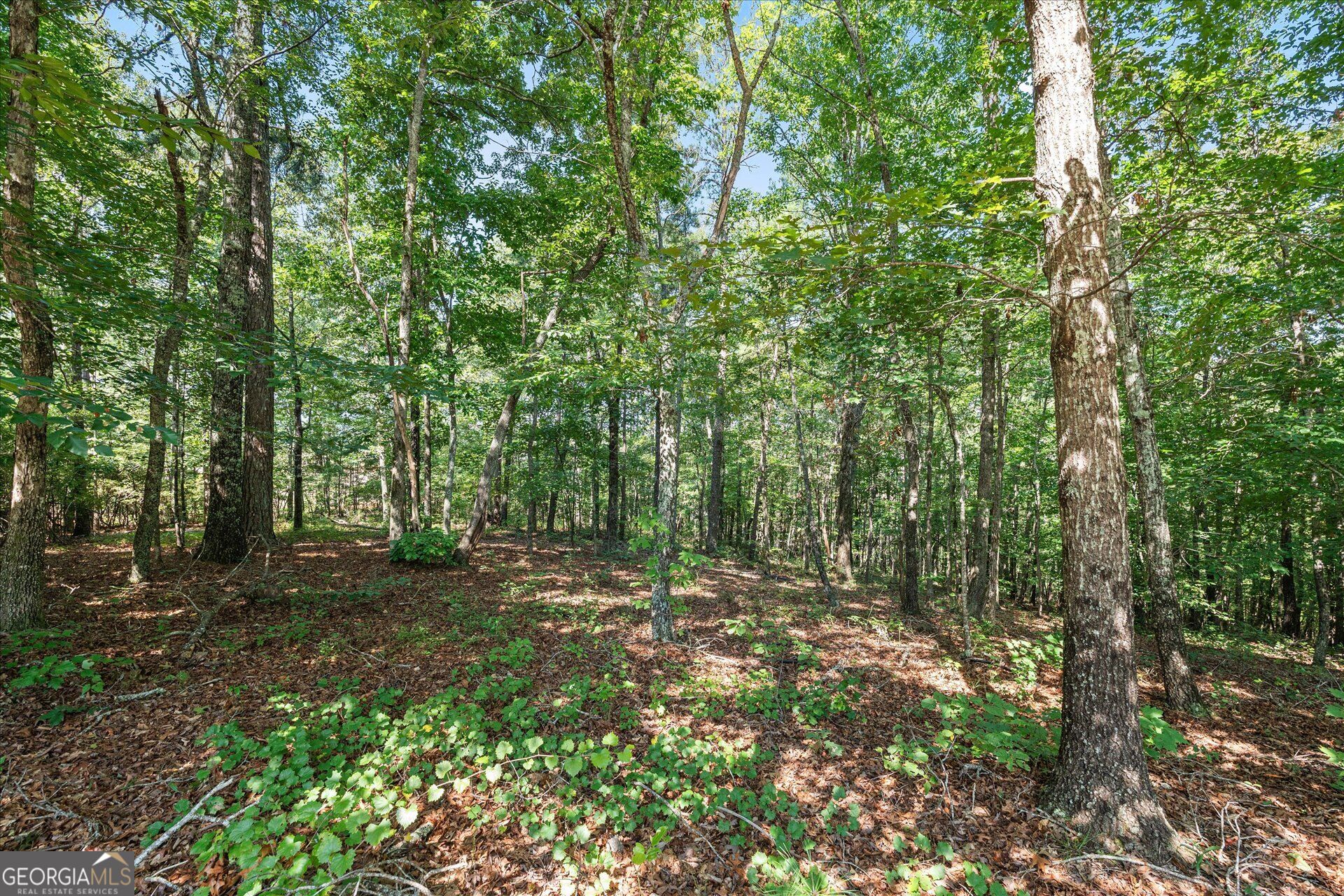 26 County Road 876 Property Photo 50