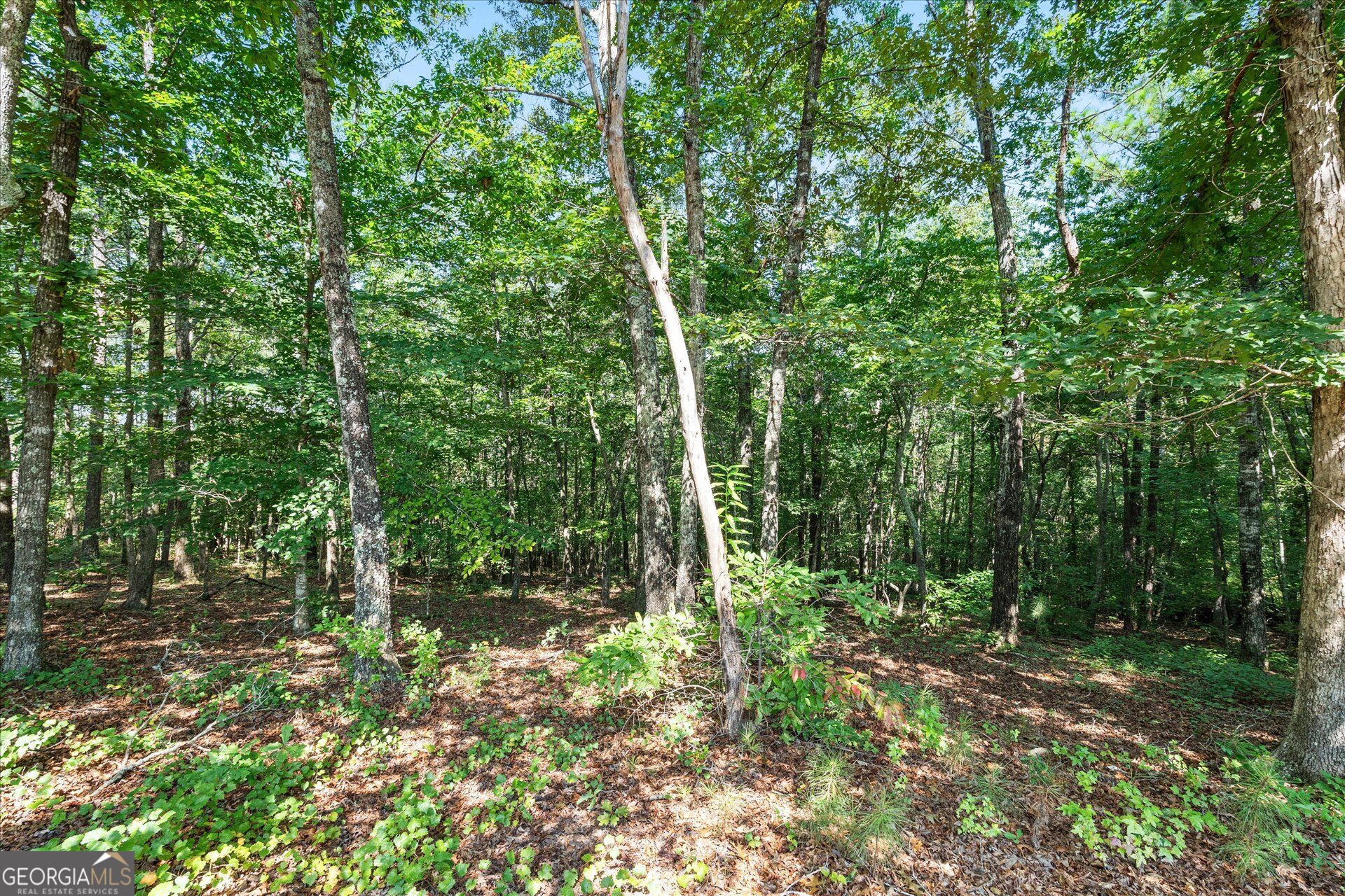26 County Road 876 Property Photo 51
