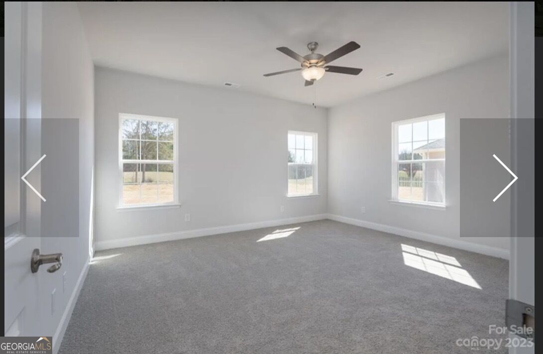 203 Blackberry Court Property Photo 13