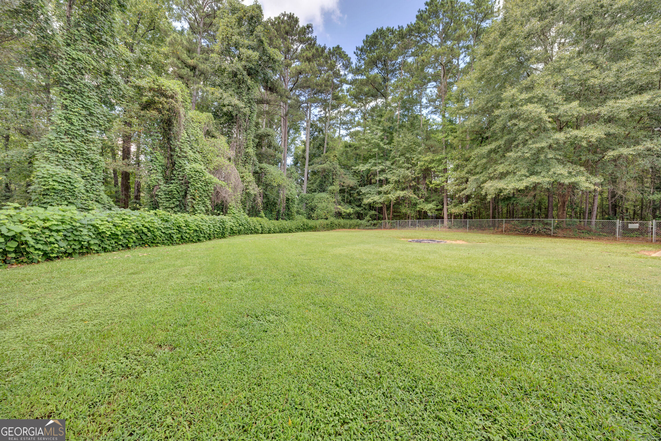 165 Mill Chase Property Photo 47