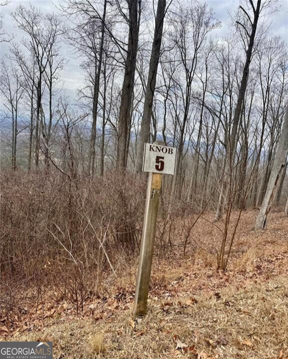 5 Rocky Knob Property Photo 3