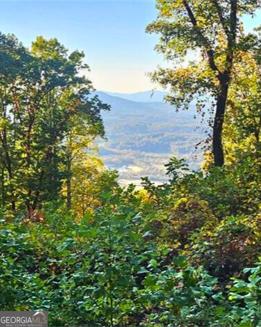 5 Rocky Knob Property Photo 5